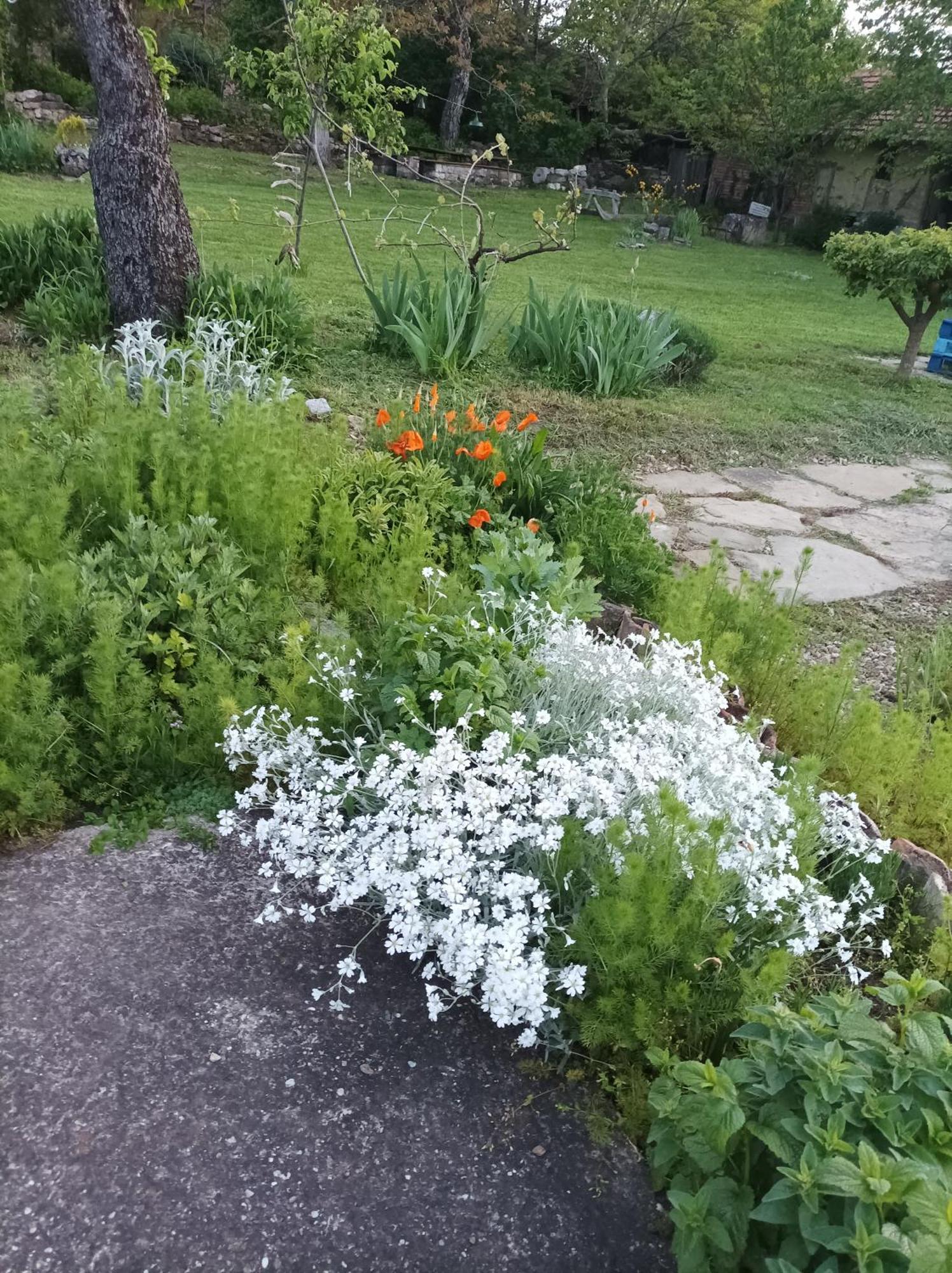 Bilkarskata Kashta Gorsko Slivovo Exterior foto